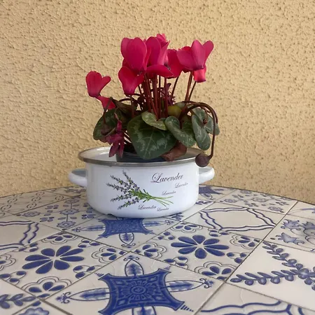 Cozy One Bedroom, Big Balcony, Pool Area - Yamasol