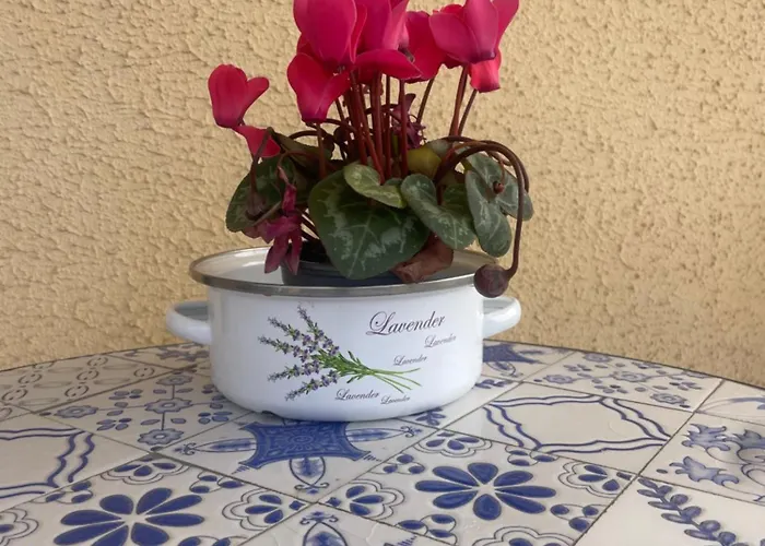 Cozy One Bedroom, Big Balcony, Pool Area - Yamasol